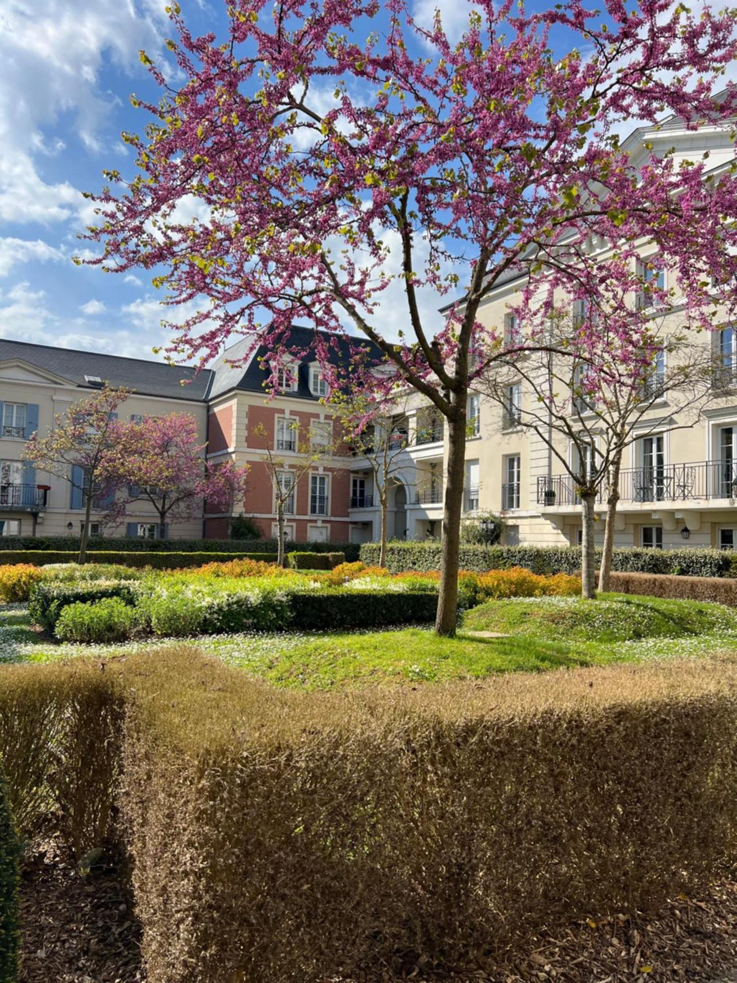 Appartement Disneyland Idealement Situe เซร์ริส ภายนอก รูปภาพ